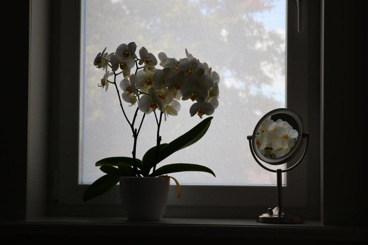 Revelatio, De Logies Apartment Ieper Bagian luar foto